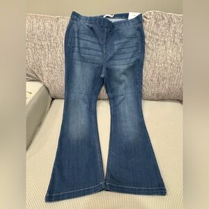 Cello Denim Flare Jeans in Blue